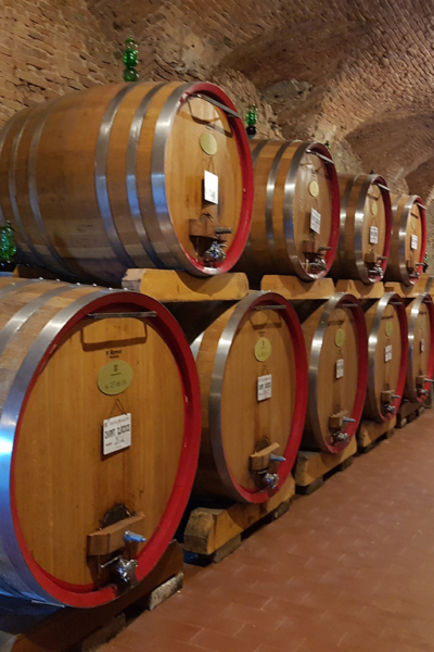 Private wine tours Florence